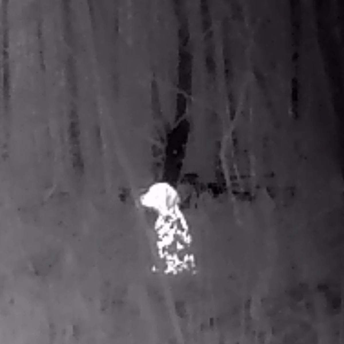 HIKMICRO EXPLORER E20 Smartphone Clip-In Thermal Imager for Android