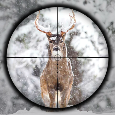 SPINA Optics Carnage LVPO 1.5-5x20 SFP Non Illuminated CircleDot CQB 1/2 MOA 1inch Rifle Scope
