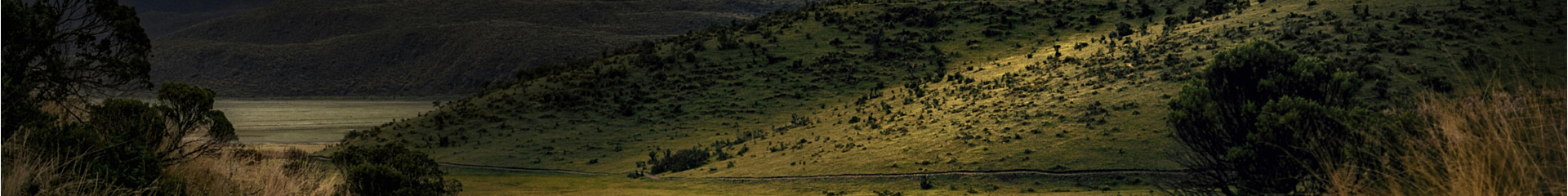 Picatinny / Weaver Risers